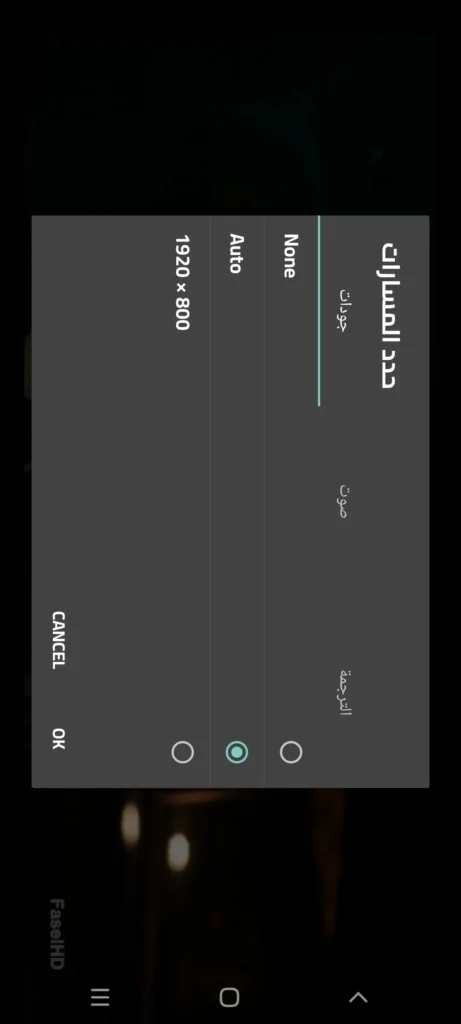 حدد-الصوت-والترجمة-والدقة-المفضلة-لديك